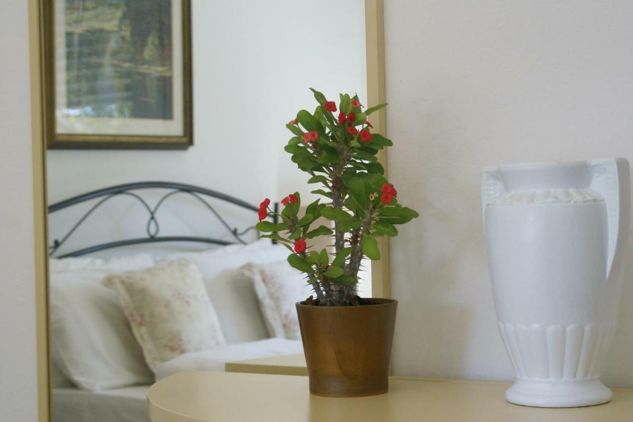 Ca Fernanda Apartment Fiesso Umbertiano Екстериор снимка